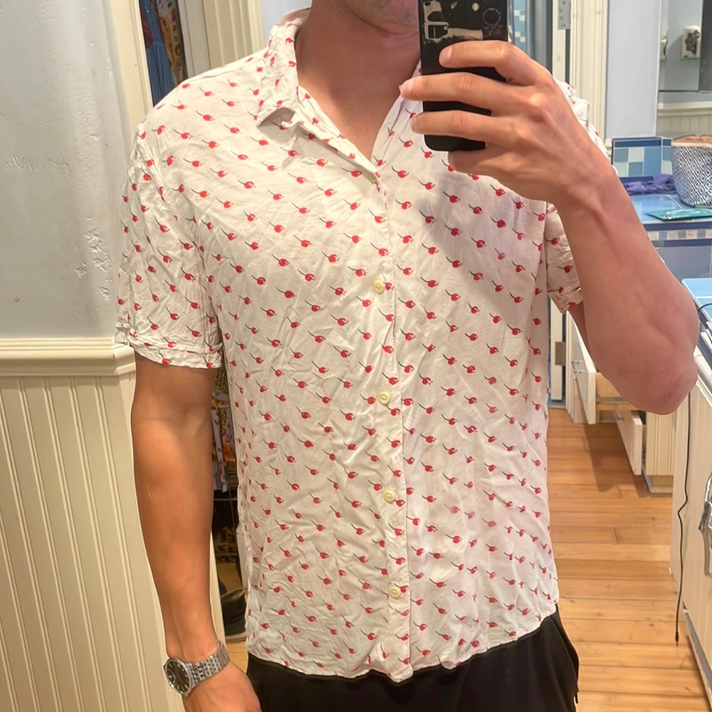 All saints cherry shirt